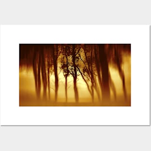 Morning Tree Silhouette(Sepia) Posters and Art